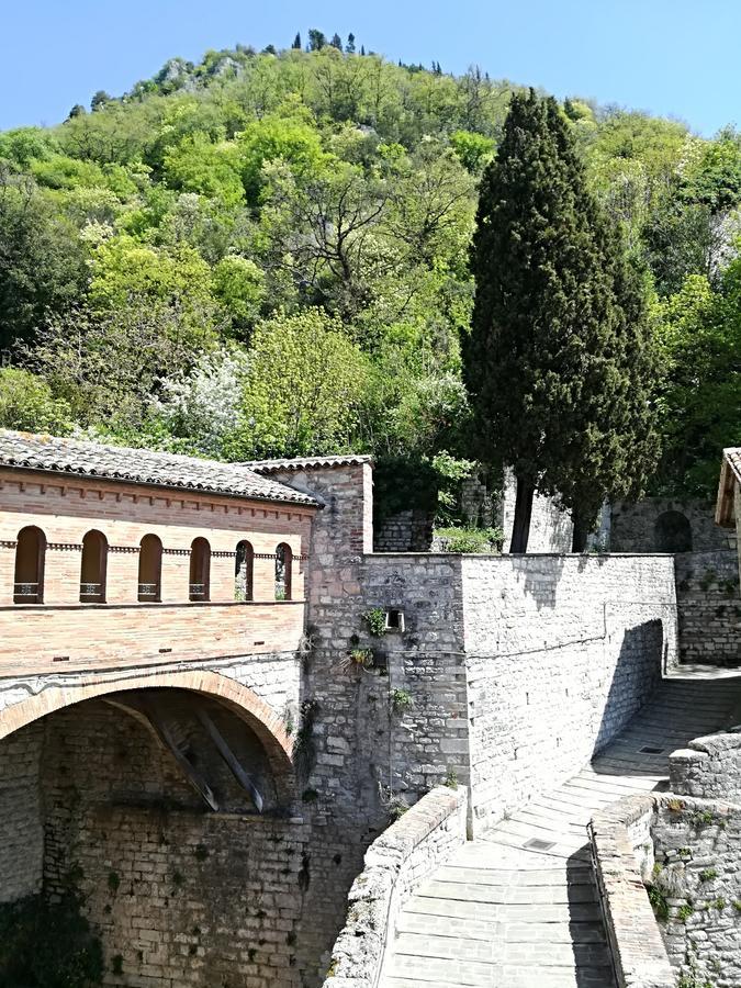 Civico 10 Hotel Gubbio Buitenkant foto